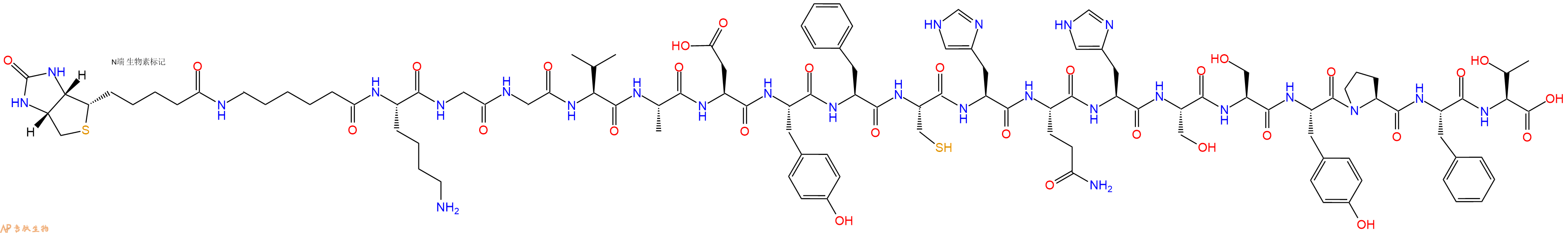 专肽生物产品Biotinyl-Ahx-Lys-Gly-Gly-Val-Ala-Asp-Tyr-Phe-Cys-His-Gln-His-Ser-Ser-Tyr-Pro-Phe-Thr-OH