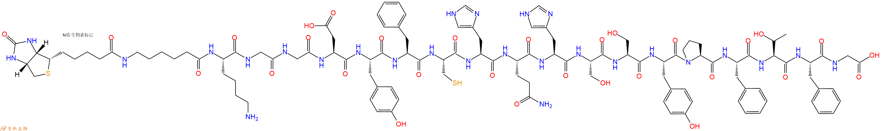 专肽生物产品Biotinyl-Ahx-Lys-Gly-Gly-Asp-Tyr-Phe-Cys-His-Gln-His-Ser-Ser-Tyr-Pro-Phe-Thr-Phe-Gly-OH