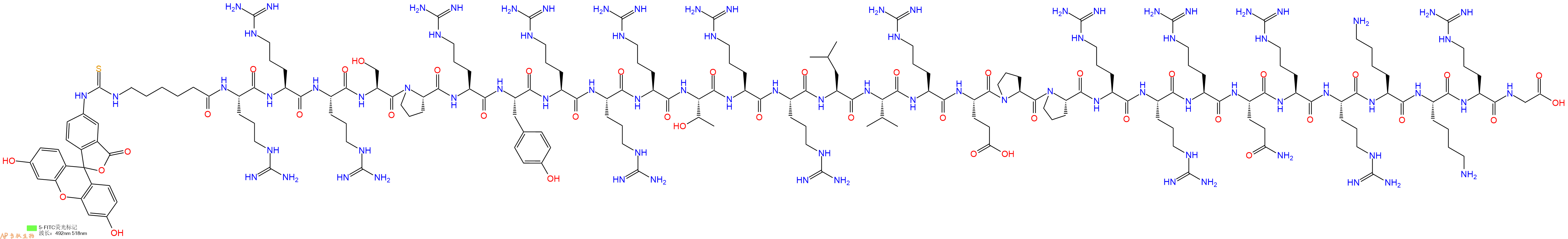 专肽生物产品5FITC-Ahx-Arg-Arg-Arg-Ser-Pro-Arg-Tyr-Arg-Arg-Arg-Thr-Arg-Arg-Leu-Val-Arg-Glu-Pro-Pro-Arg-Arg-Arg-Gln-Arg-Arg-Lys-Lys-Arg-Gly-OH