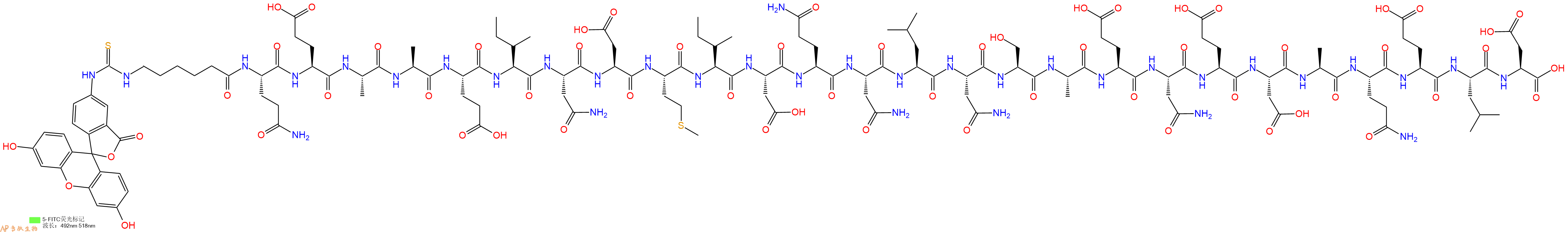 专肽生物产品5FITC-Ahx-Gln-Glu-Ala-Ala-Glu-Ile-Asn-Asp-Met-Ile-Asp-Gln-Asn-Leu-Asn-Ser-Ala-Glu-Asn-Glu-Asp-Ala-Gln-Glu-Leu-Asp-OH