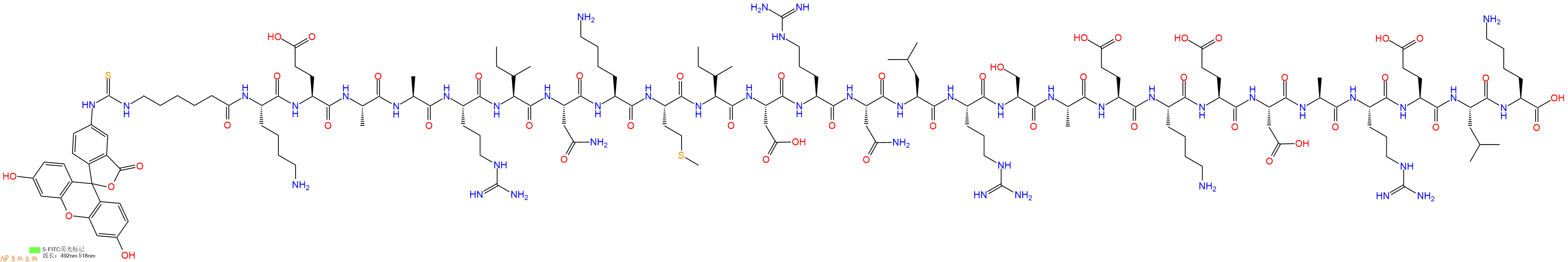 专肽生物产品5FITC-Ahx-Lys-Glu-Ala-Ala-Arg-Ile-Asn-Lys-Met-Ile-Asp-Arg-Asn-Leu-Arg-Ser-Ala-Glu-Lys-Glu-Asp-Ala-Arg-Glu-Leu-Lys-OH