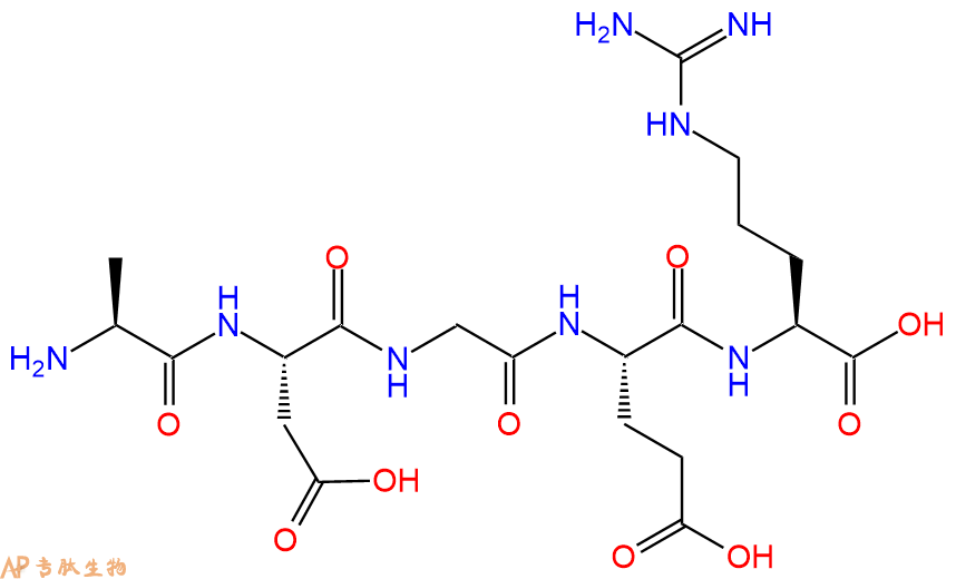 专肽生物产品H2N-Ala-Asp-Gly-Glu-Arg-OH