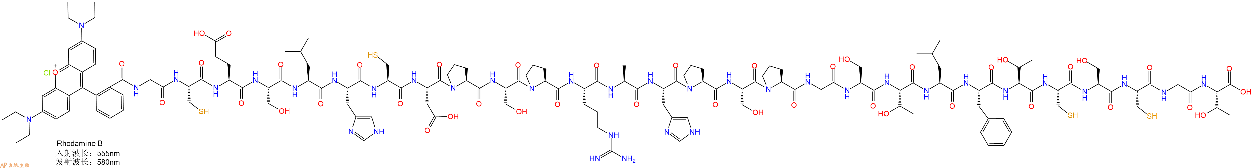 专肽生物产品RhodamineB-Gly-Cys-Glu-Ser-Leu-His-Cys-Asp-Pro-Ser-Pro-Arg-Ala-His-Pro-Ser-Pro-Gly-Ser-Thr-Leu-Phe-Thr-Cys-Ser-Cys-Gly-Thr-OH