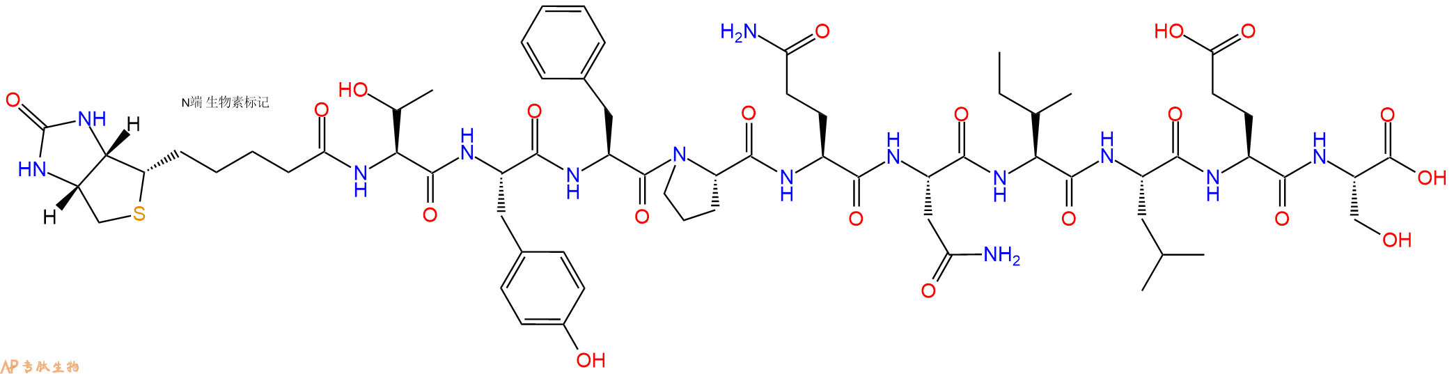 专肽生物产品Biotinyl-Thr-Tyr-Phe-Pro-Gln-Asn-Ile-Leu-Glu-Ser-OH