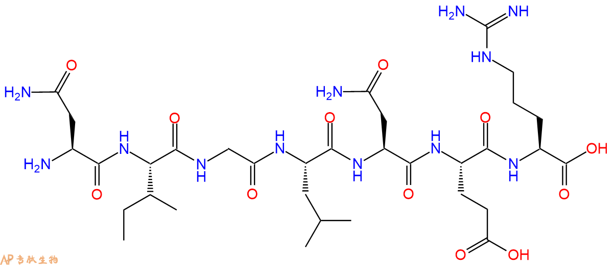 专肽生物产品H2N-Asn-Ile-Gly-Leu-Asn-Glu-Arg-OH