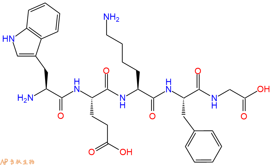 专肽生物产品H2N-Trp-Glu-Lys-Phe-Gly-OH