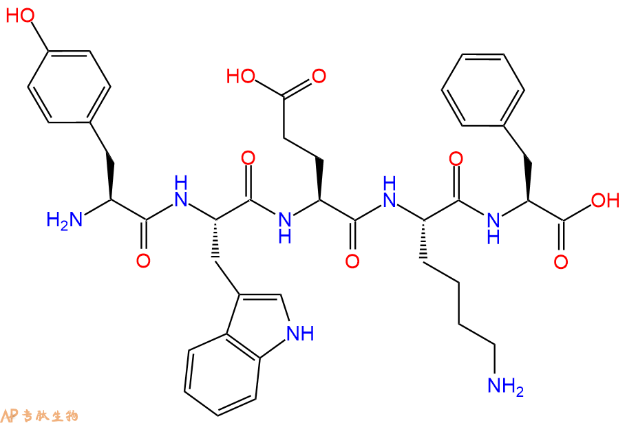 专肽生物产品H2N-Tyr-Trp-Glu-Lys-Phe-OH