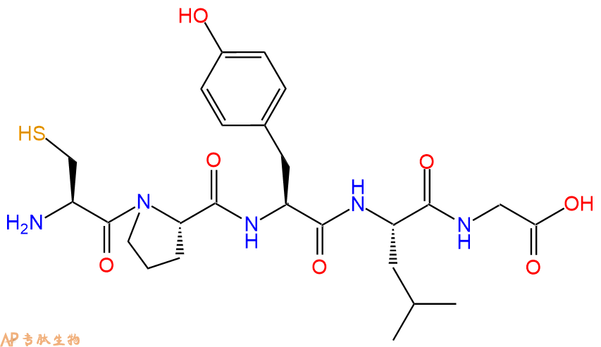 专肽生物产品H2N-Cys-Pro-Tyr-Leu-Gly-OH