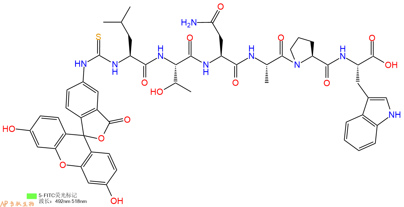 专肽生物产品5FITC-Leu-Thr-Asn-Ala-Pro-Trp-OH