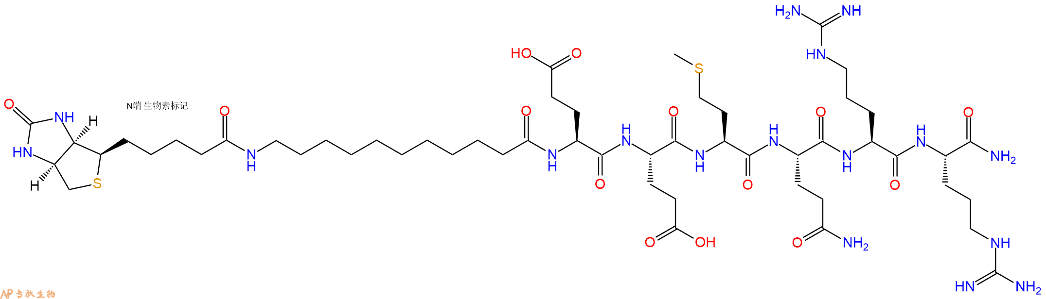专肽生物产品Biotinyl-Aun-Glu-Glu-Met-Gln-Arg-Arg-CONH2
