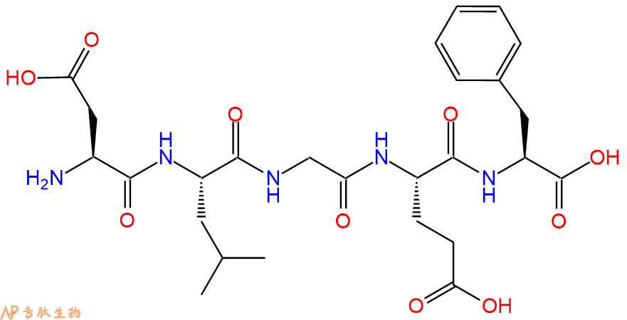 专肽生物产品H2N-Asp-Leu-Gly-Glu-Phe-OH