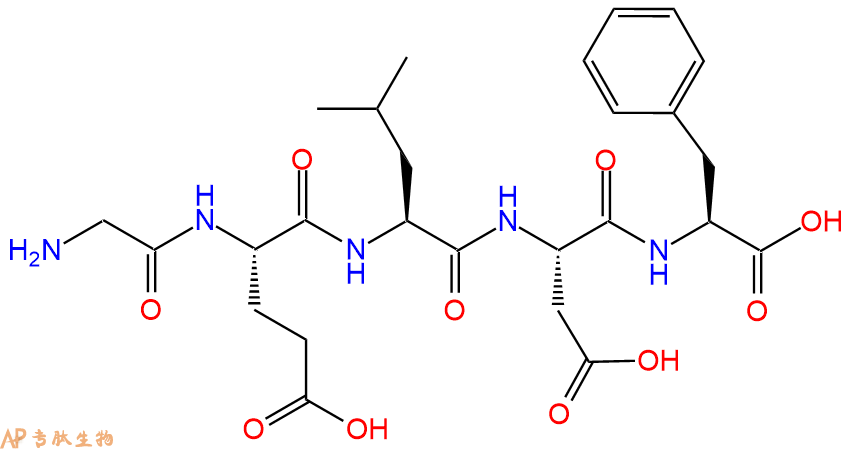 专肽生物产品H2N-Gly-Glu-Leu-Asp-Phe-OH