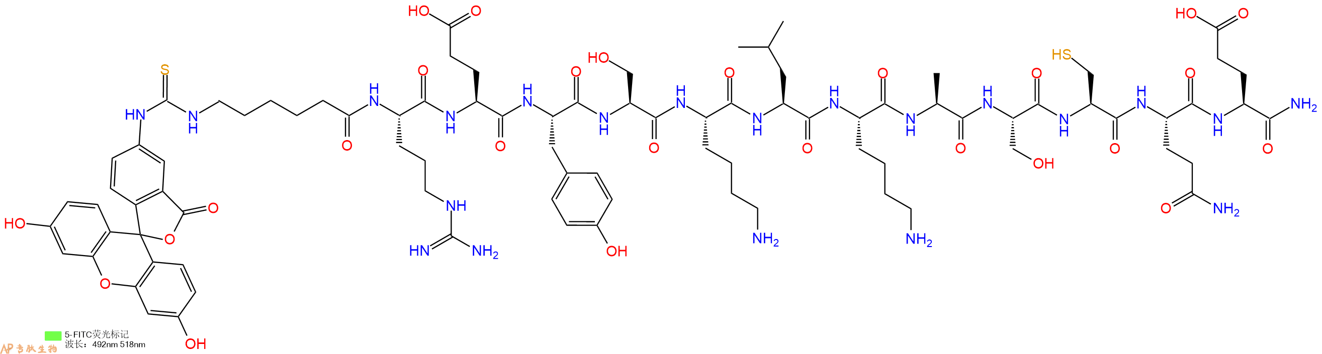 专肽生物产品5FITC-Ahx-Arg-Glu-Tyr-Ser-Lys-Leu-Lys-Ala-Ser-Cys-Gln-Glu-CONH2
