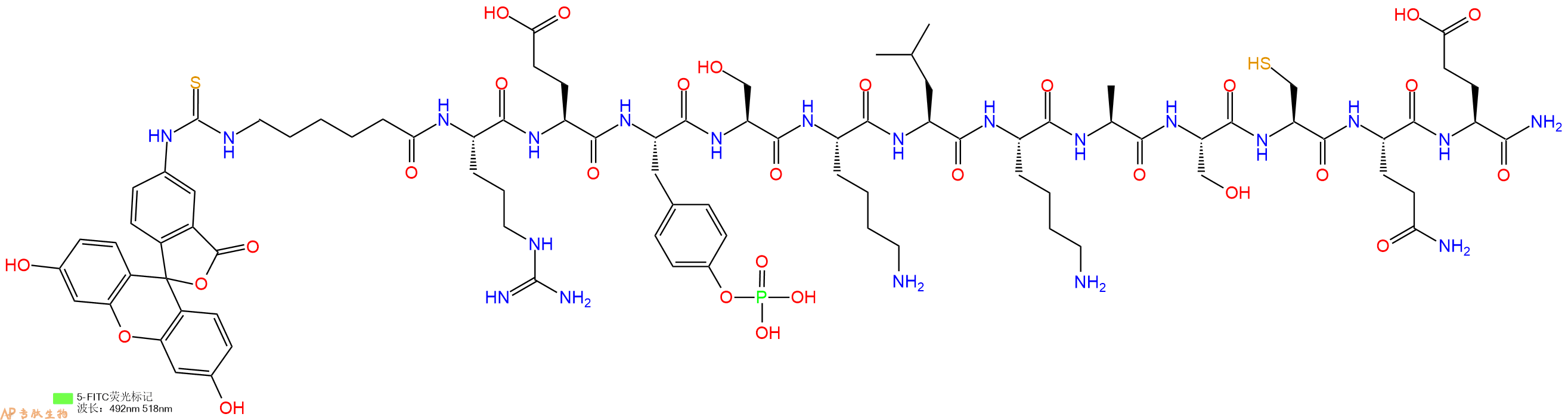 专肽生物产品5FITC-Ahx-Arg-Glu-Tyr(PO3H2)-Ser-Lys-Leu-Lys-Ala-Ser-Cys-Gln-Glu-CONH2
