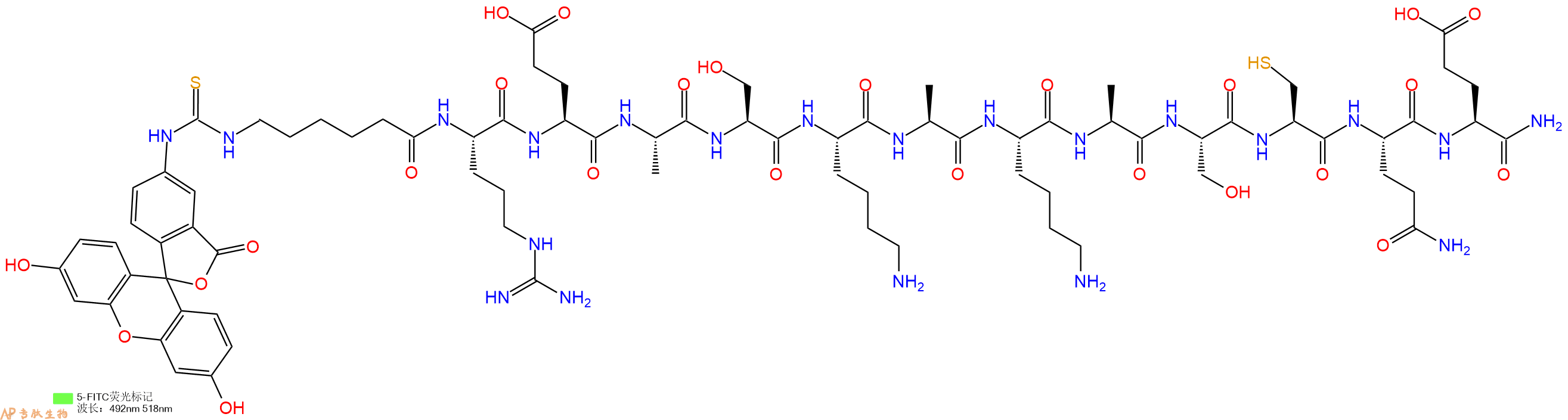 专肽生物产品5FITC-Ahx-Arg-Glu-Ala-Ser-Lys-Ala-Lys-Ala-Ser-Cys-Gln-Glu-CONH2
