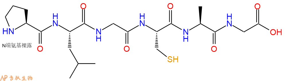 专肽生物产品H2N-Pro-Leu-Gly-Cys-Ala-Gly-OH