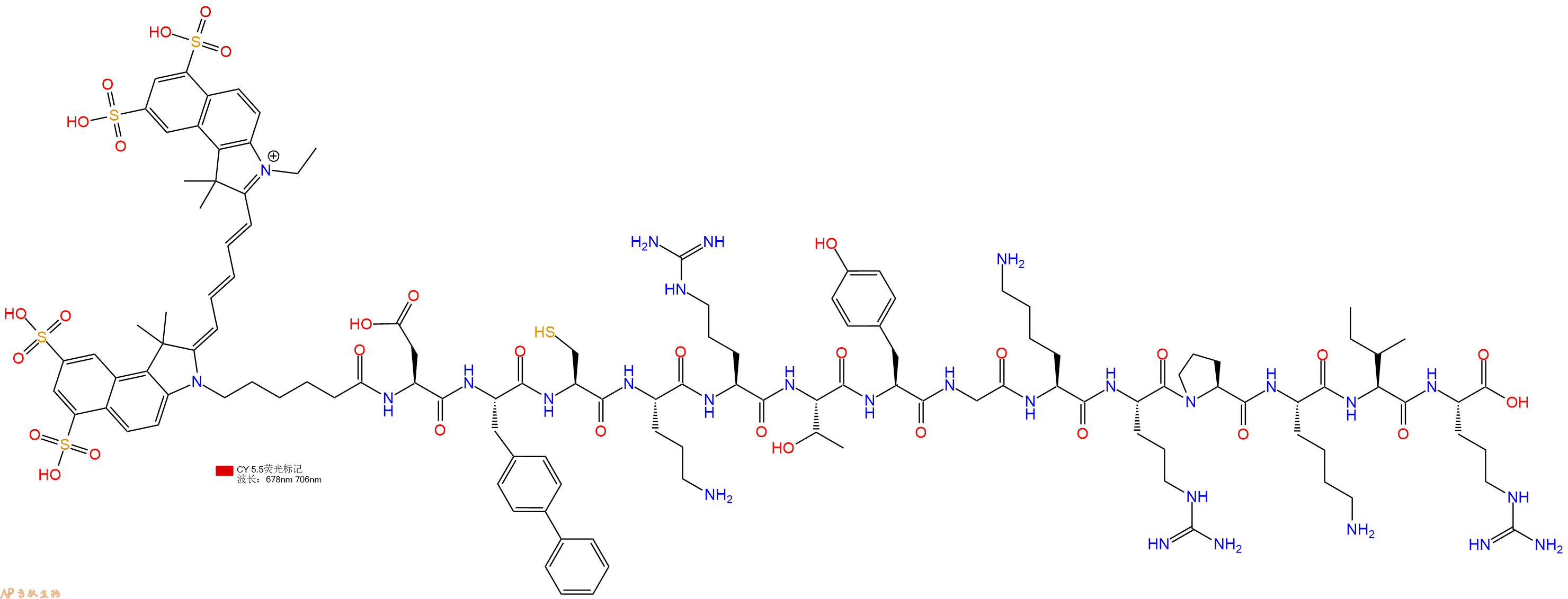 专肽生物产品Cy5.5-Asp-Bip-Cys-Orn-Arg-Thr-Tyr-Gly-Lys-Arg-Pro-Lys-Ile-Arg-OH