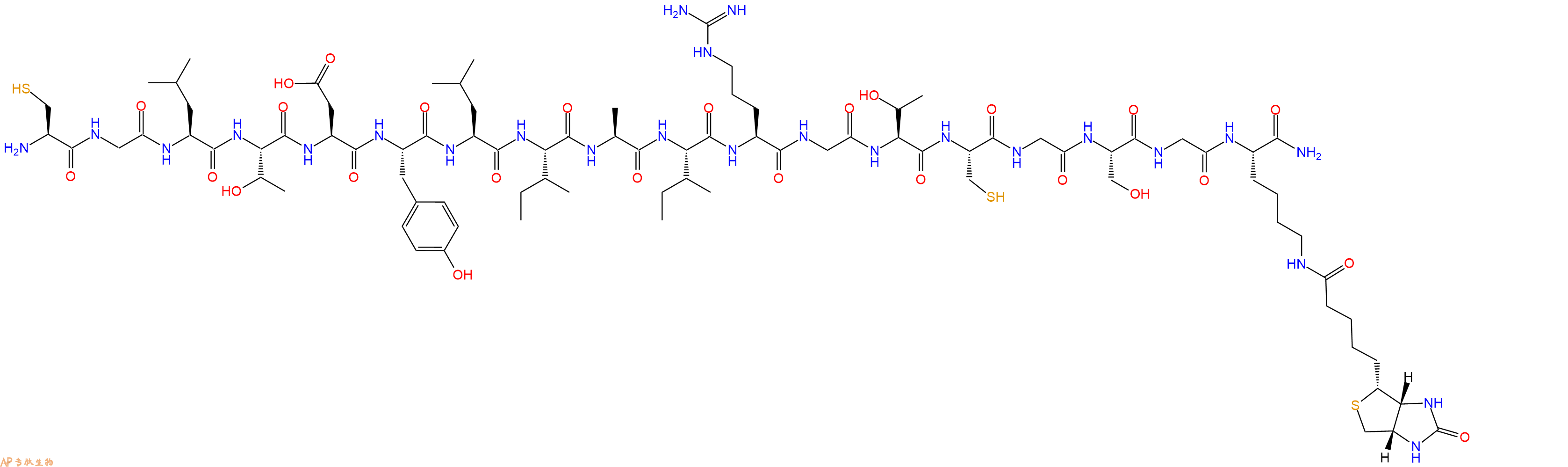 专肽生物产品H2N-Cys-Gly-Leu-Thr-Asp-Tyr-Leu-Ile-Ala-Ile-Arg-Gly-Thr-Cys-Gly-Ser-Gly-Lys(Biotin)-CONH2