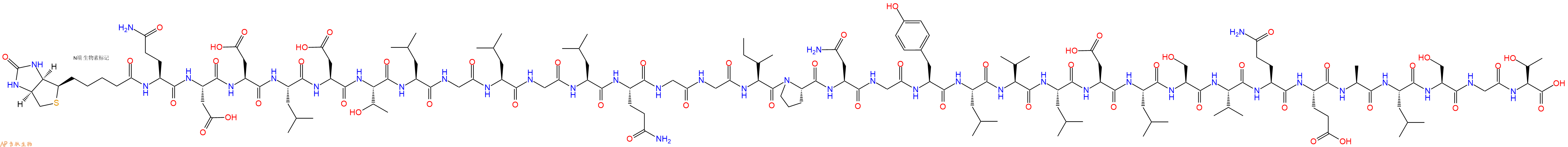 专肽生物产品Biotinyl-Gln-Asp-Asp-Leu-Asp-Thr-Leu-Gly-Leu-Gly-Leu-Gln-Gly-Gly-Ile-Pro-Asn-Gly-Tyr-Leu-Val-Leu-Asp-Leu-Ser-Val-Gln-Glu-Ala-Leu-Ser-Gly-Thr-OH