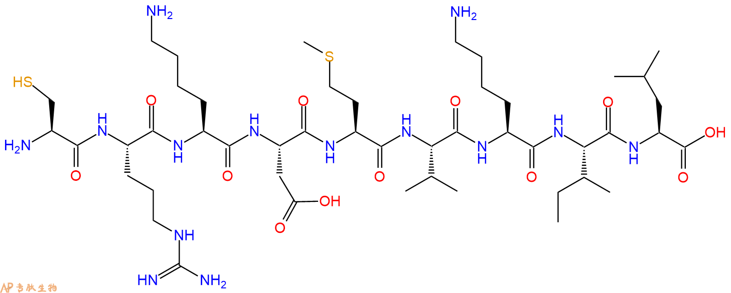 专肽生物产品H2N-Cys-Arg-Lys-Asp-Met-Val-Lys-Ile-Leu-OH