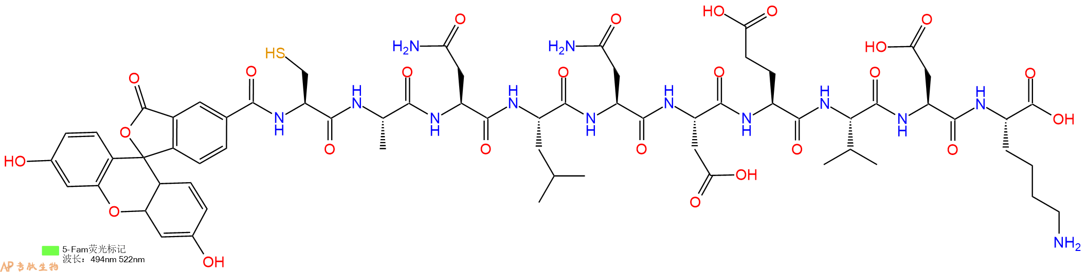 专肽生物产品5FAM-Cys-Ala-Asn-Leu-Asn-Asp-Glu-Val-Asp-Lys-OH