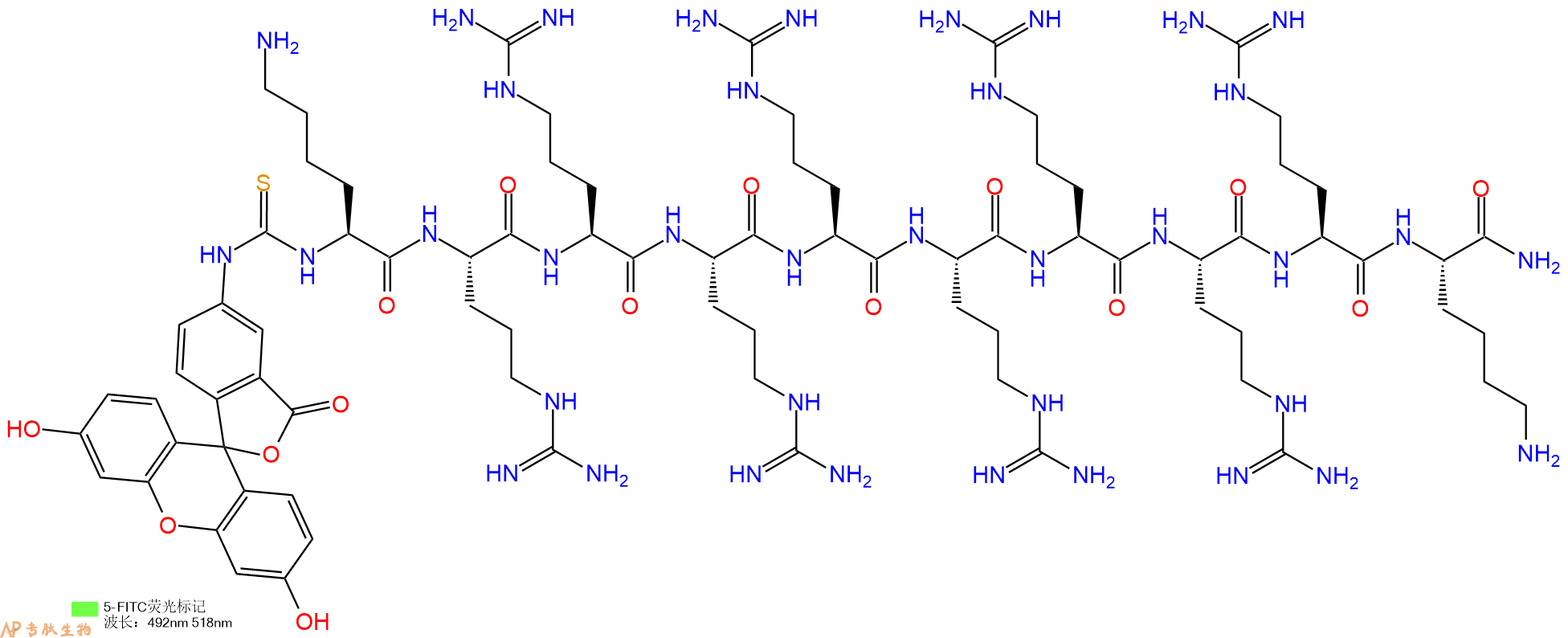 专肽生物产品5FITC-Lys-Arg-Arg-Arg-Arg-Arg-Arg-Arg-Arg-Lys-CONH2