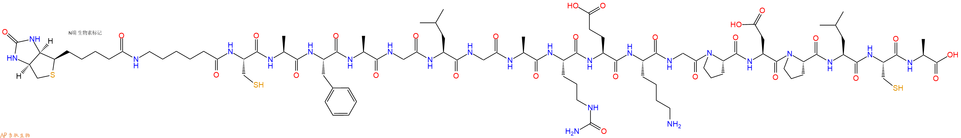 专肽生物产品Biotinyl-Ahx-Cys-Ala-Phe-Ala-Gly-Leu-Gly-Ala-Cit-Glu-Lys-Gly-Pro-Asp-Pro-Leu-Cys-Ala-OH