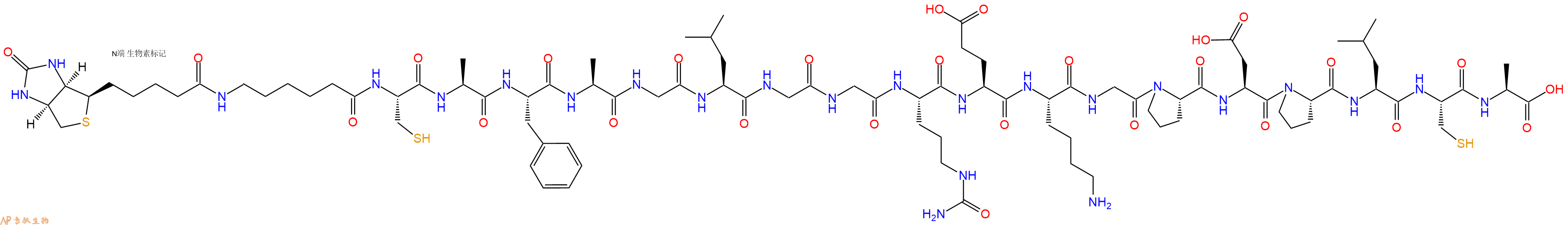 专肽生物产品Biotinyl-Ahx-Cys-Ala-Phe-Ala-Gly-Leu-Gly-Gly-Cit-Glu-Lys-Gly-Pro-Asp-Pro-Leu-Cys-Ala-OH