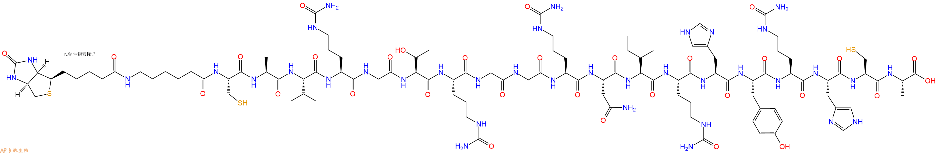 专肽生物产品Biotinyl-Ahx-Cys-Ala-Val-Cit-Gly-Thr-Cit-Gly-Gly-Cit-Asn-Ile-Cit-His-Tyr-Cit-His-Cys-Ala-OH