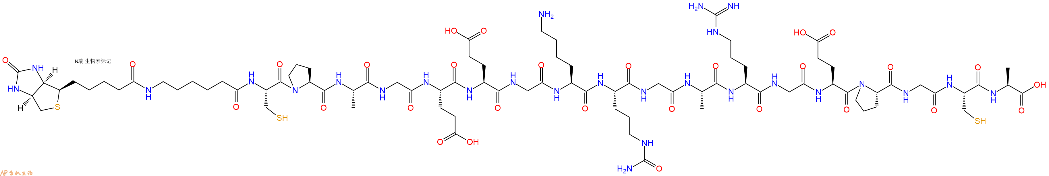 专肽生物产品Biotinyl-Ahx-Cys-Pro-Ala-Gly-Glu-Glu-Gly-Lys-Cit-Gly-Ala-Arg-Gly-Glu-Pro-Gly-Cys-Ala-OH