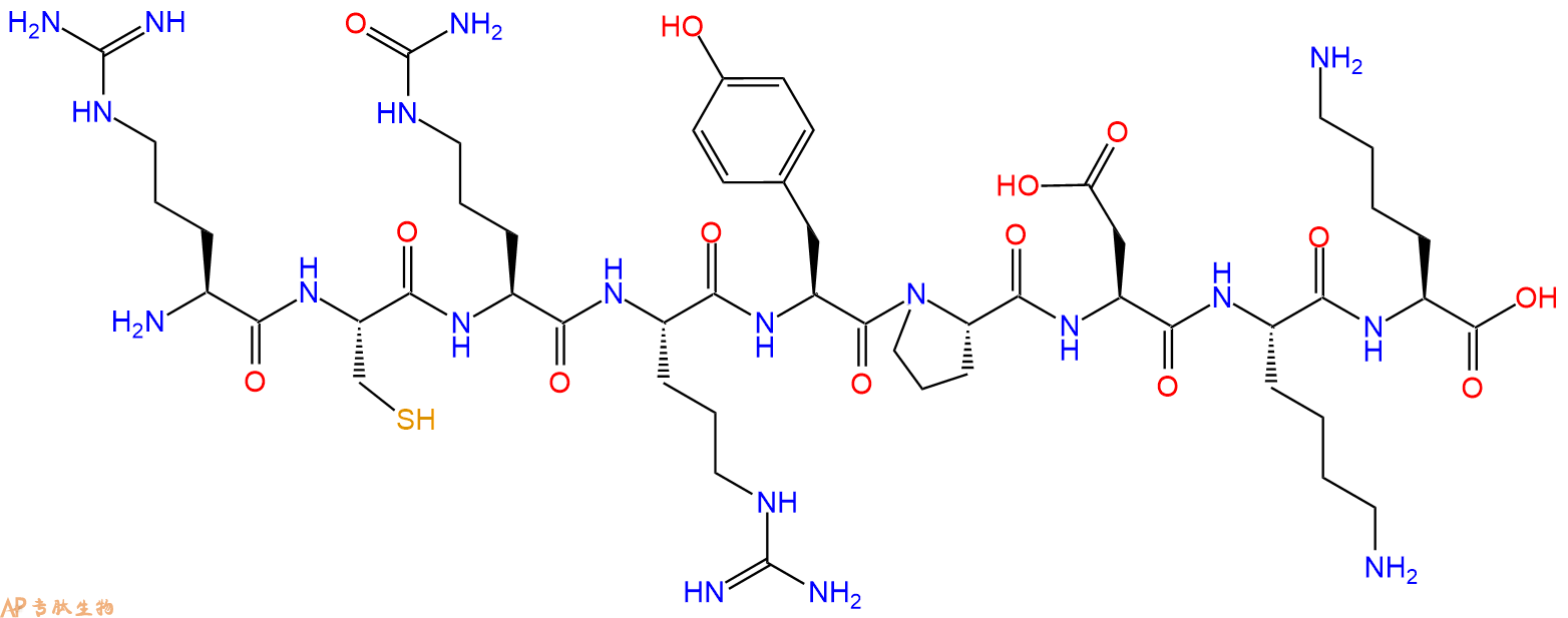 专肽生物产品H2N-Arg-Cys-Cit-Arg-Tyr-Pro-Asp-Lys-Lys-OH