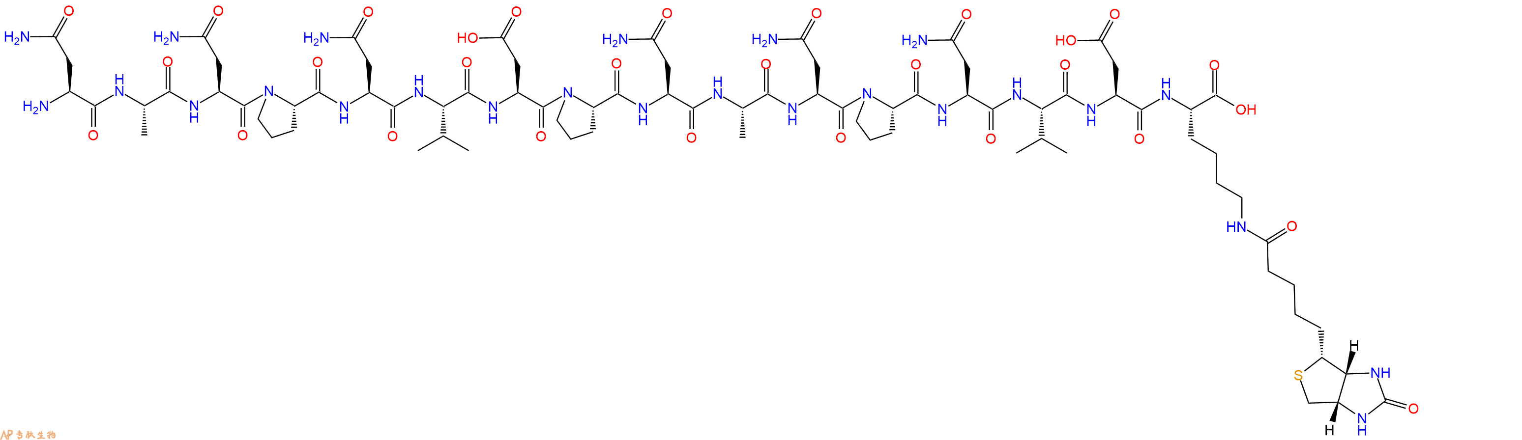 专肽生物产品H2N-Asn-Ala-Asn-Pro-Asn-Val-Asp-Pro-Asn-Ala-Asn-Pro-Asn-Val-Asp-Lys(Biotin)-OH