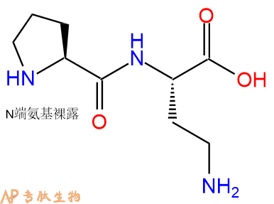 专肽生物产品H2N-Pro-Dab-OH