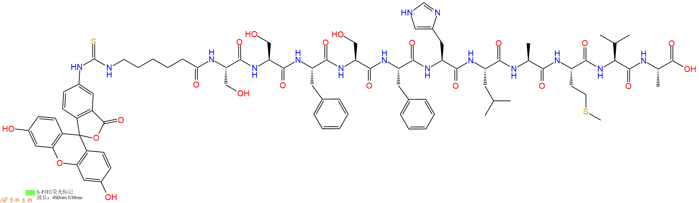 专肽生物产品5FITC-Ahx-Ser-Ser-Phe-Ser-Phe-His-Leu-Ala-Met-Val-Ala-OH
