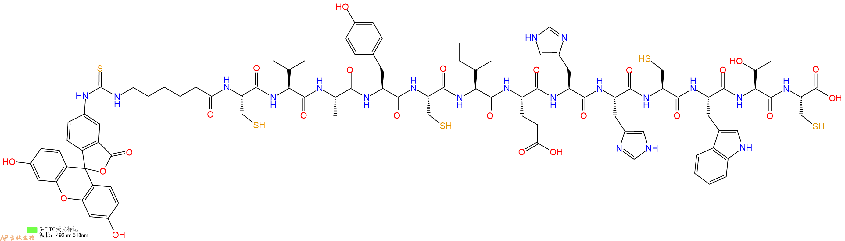 专肽生物产品5FITC-Ahx-Cys-Val-Ala-Tyr-Cys-Ile-Glu-His-His-Cys-Trp-Thr-Cys-OH