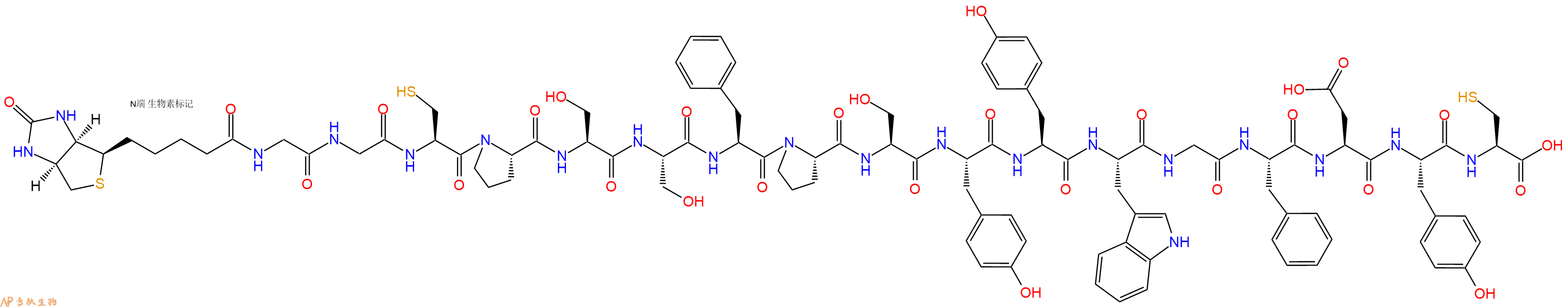 专肽生物产品Biotinyl-Gly-Gly-Cys-Pro-Ser-Ser-Phe-Pro-Ser-Tyr-Tyr-Trp-Gly-Phe-Asp-Tyr-Cys-OH