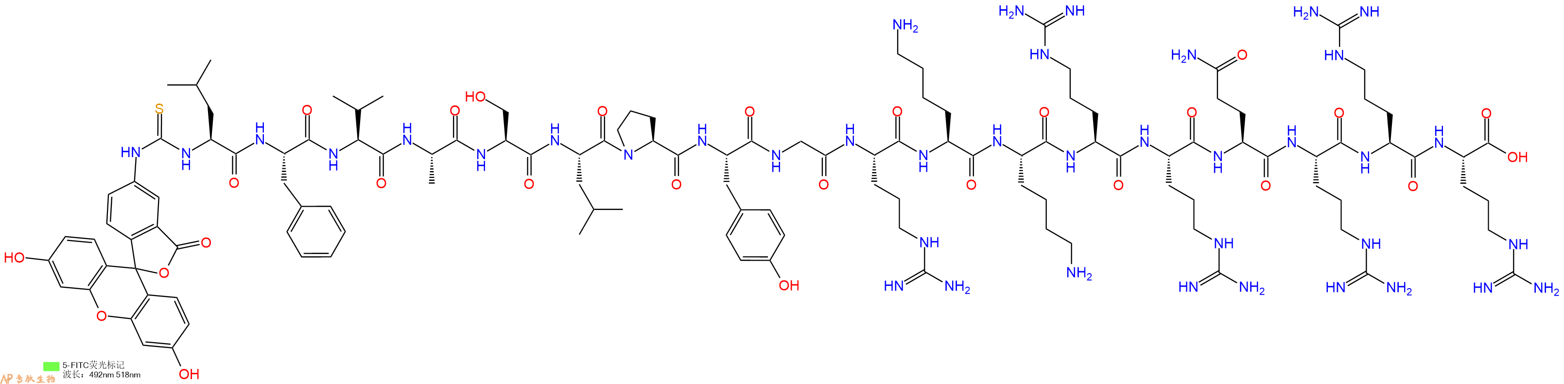 专肽生物产品5FITC-Leu-Phe-Val-Ala-Ser-Leu-Pro-Tyr-Gly-Arg-Lys-Lys-Arg-Arg-Gln-Arg-Arg-Arg-OH