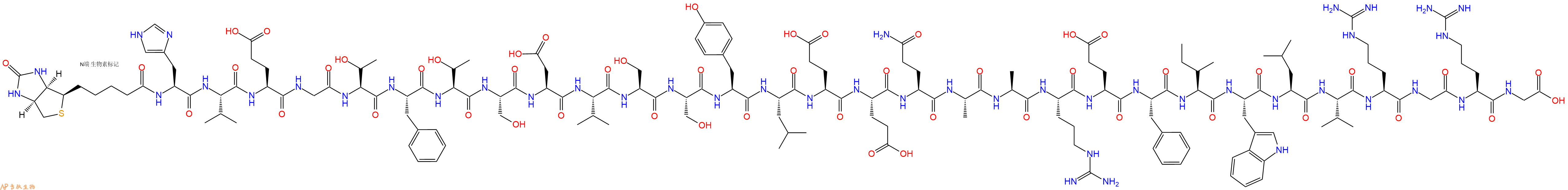 专肽生物产品Biotinyl-His-Val-Glu-Gly-Thr-Phe-Thr-Ser-Asp-Val-Ser-Ser-Tyr-Leu-Glu-Glu-Gln-Ala-Ala-Arg-Glu-Phe-Ile-Trp-Leu-Val-Arg-Gly-Arg-Gly-OH