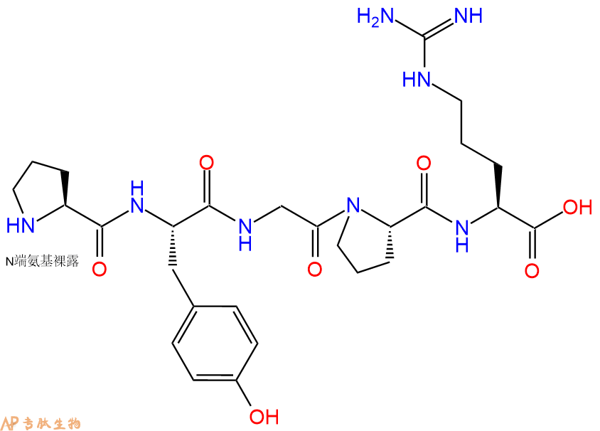 专肽生物产品H2N-Pro-Tyr-Gly-Pro-Arg-OH