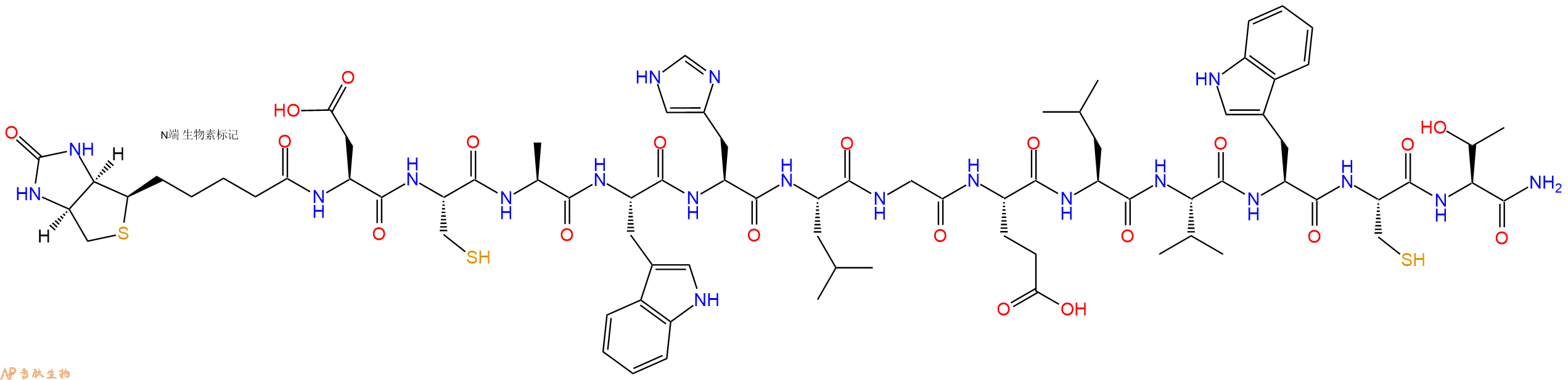 专肽生物产品Biotinyl-Asp-Cys-Ala-Trp-His-Leu-Gly-Glu-Leu-Val-Trp-Cys-Thr-CONH2