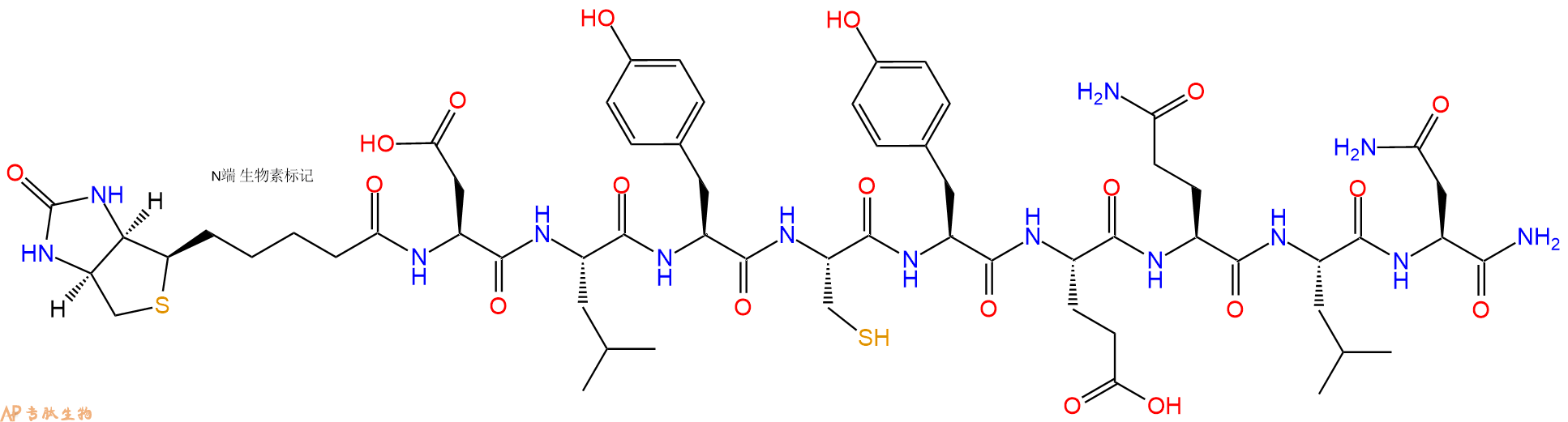 专肽生物产品Biotinyl-Asp-Leu-Tyr-Cys-Tyr-Glu-Gln-Leu-Asn-CONH2