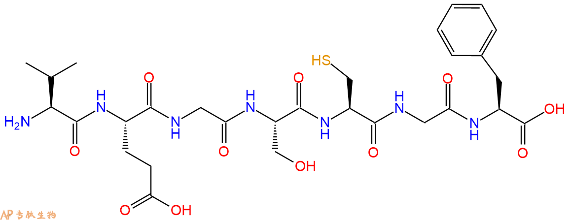 专肽生物产品H2N-Val-Glu-Gly-Ser-Cys-Gly-Phe-OH