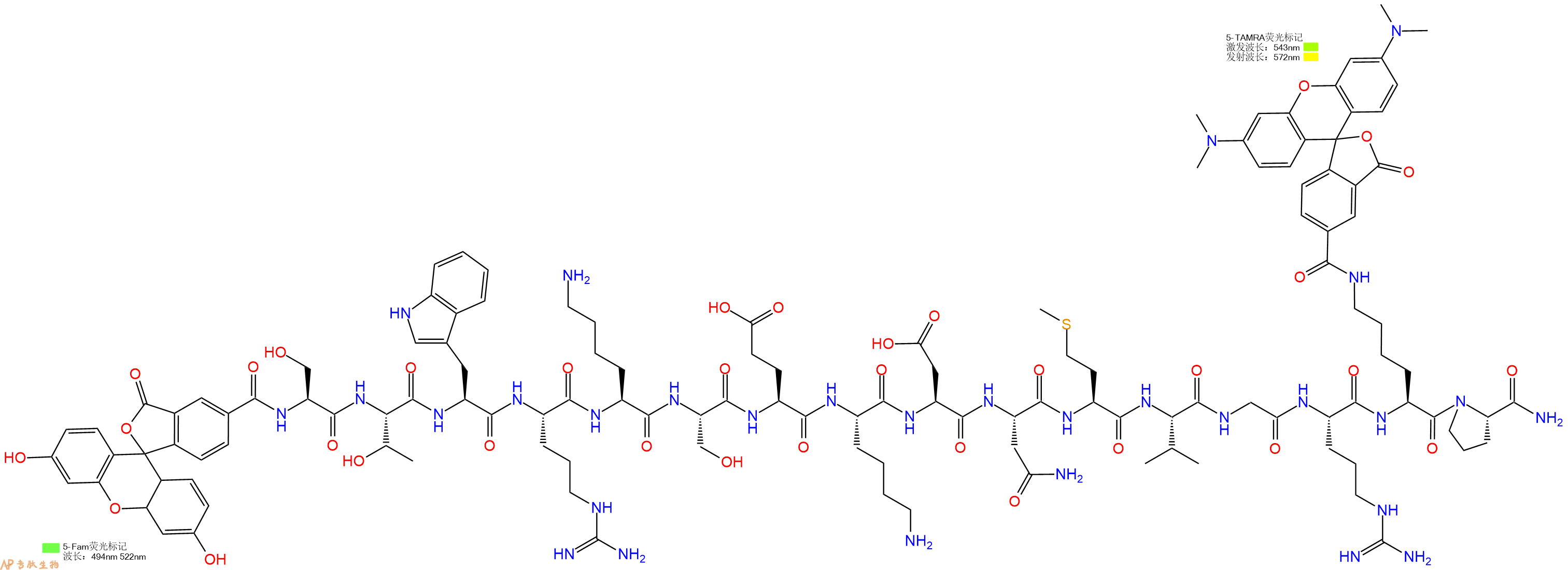 专肽生物产品5FAM-Ser-Thr-Trp-Arg-Lys-Ser-Glu-Lys-Asp-Asn-Met-Val-Gly-Arg-Lys(TAMRA)-Pro-CONH2