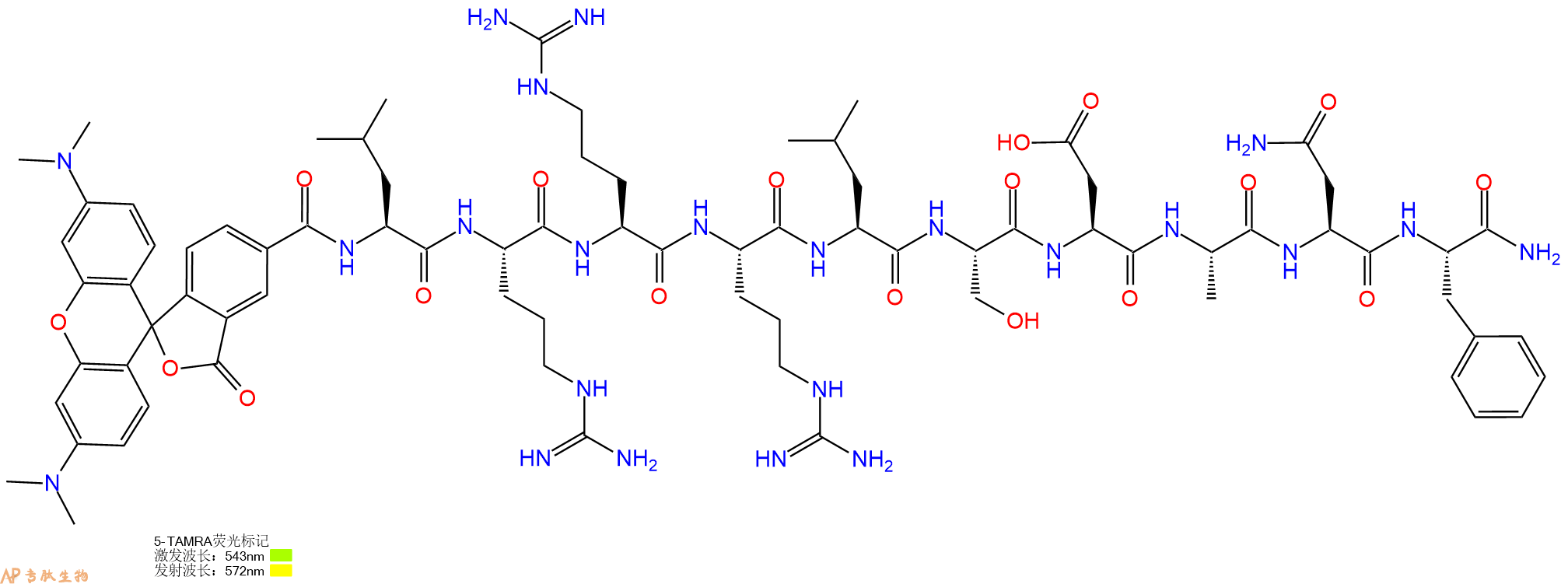 专肽生物产品Synapsin I-derived peptide, TAMRA-labeled