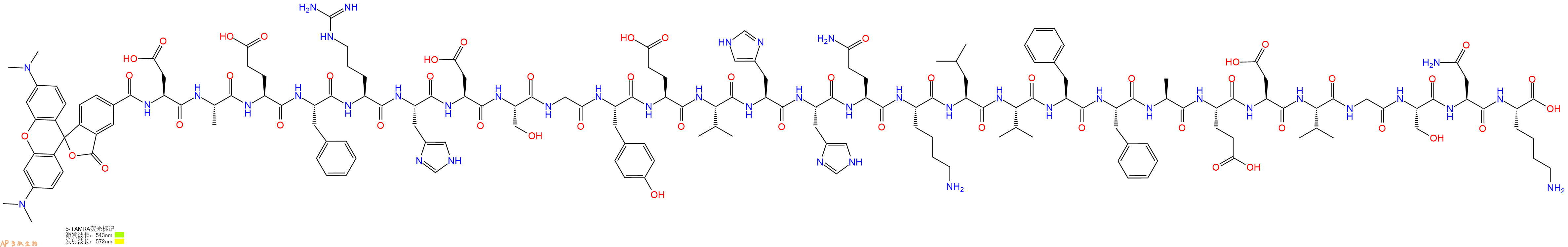专肽生物产品Tamra-beta-Amyloid (1-28)
