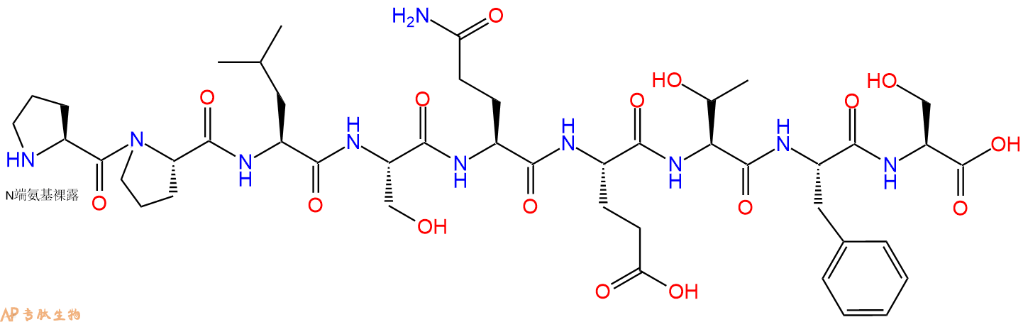 专肽生物产品p53 (12-20)