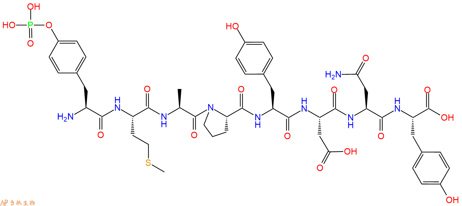 专肽生物产品PDGF &beta;-Receptor (739-746) (phosphorylated)