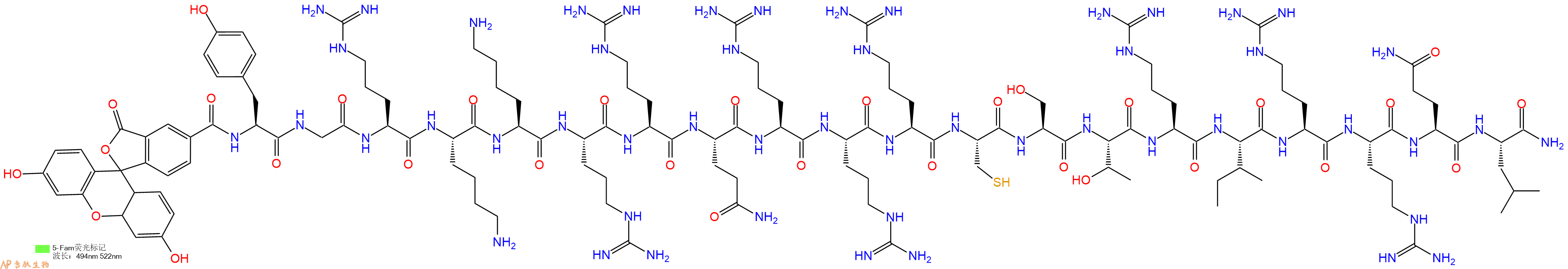 专肽生物产品gp91 ds-tat, FAM labeled