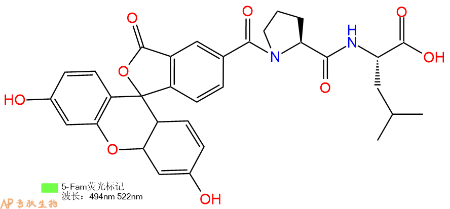 专肽生物产品5-FAM MMP FRET Peptide Fluorescence Standard I