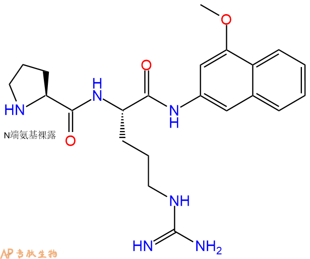 专肽生物产品H-Pro-Arg-4M&beta;NA42761-75-1